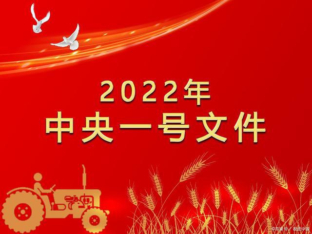 2022年中央一号文件