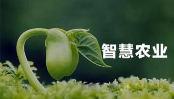 “植物工厂” 是什么，怎么建?